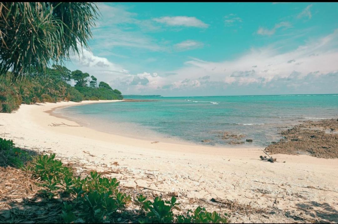 فندق Mallick Palace Neil Island South Andaman Ram Nagar المظهر الخارجي الصورة