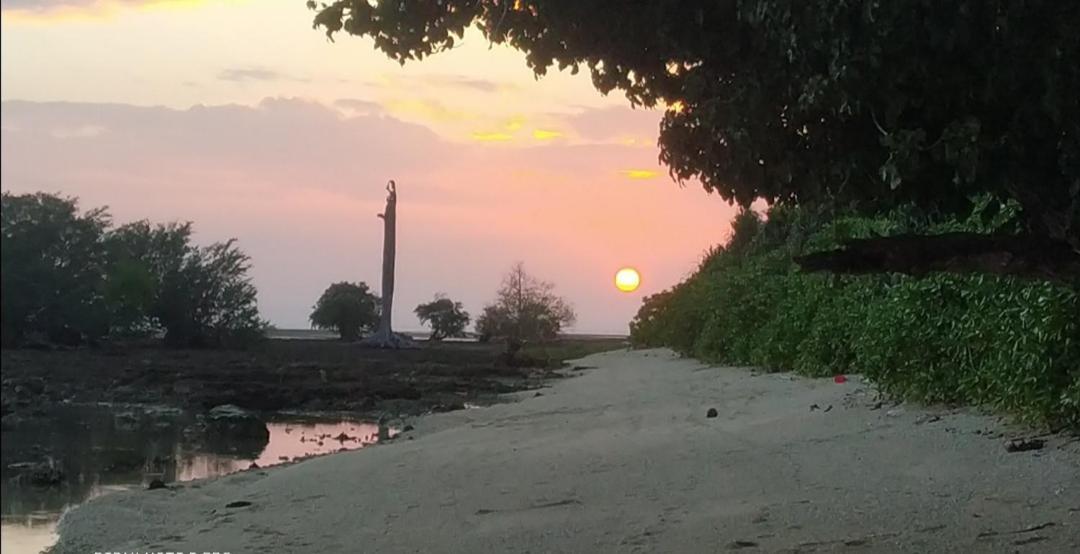 فندق Mallick Palace Neil Island South Andaman Ram Nagar المظهر الخارجي الصورة